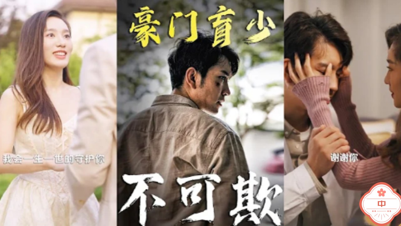 豪门盲少（中）