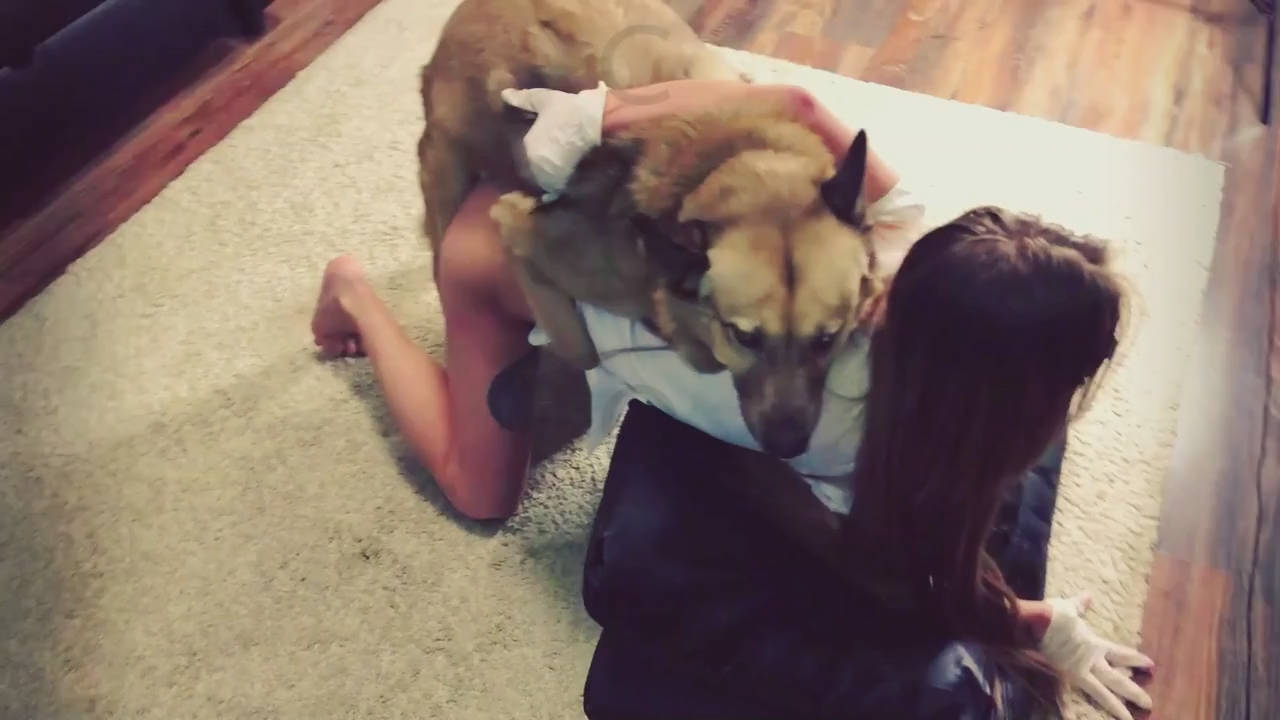 美女和自己的大狗在家玩兽交